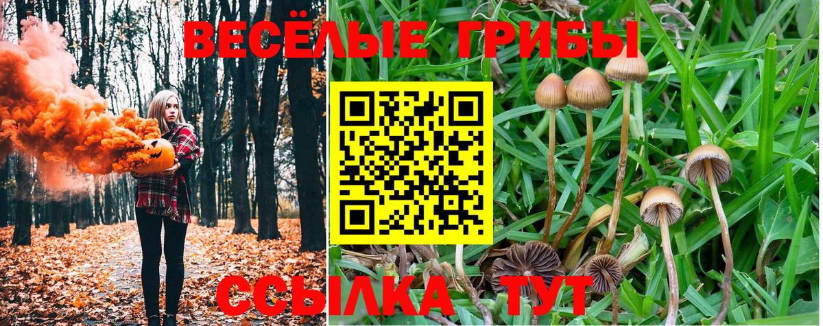 цены   Галлюциногенные грибы GOLDEN TEACHER  Вход с VPN  Боровичи 
