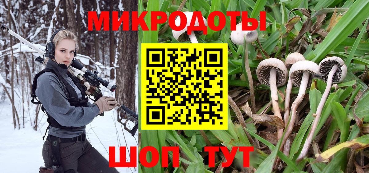 Галлюциногенные грибы мухоморы Боровичи